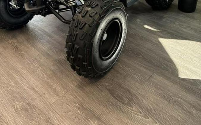 2026 Yamaha Raptor 110