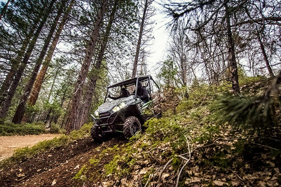 2018 Kawasaki Teryx LE