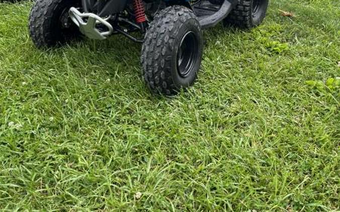 2026 Can-Am® Renegade 110 EFI