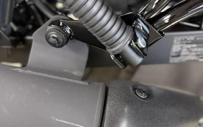 2024 Kawasaki Eliminator® SE ABS