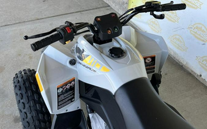 2024 Can-Am Renegade 110 EFI