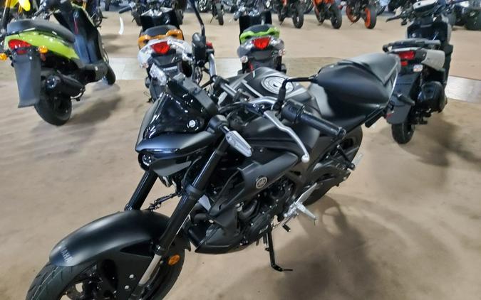 2024 Yamaha MT 03