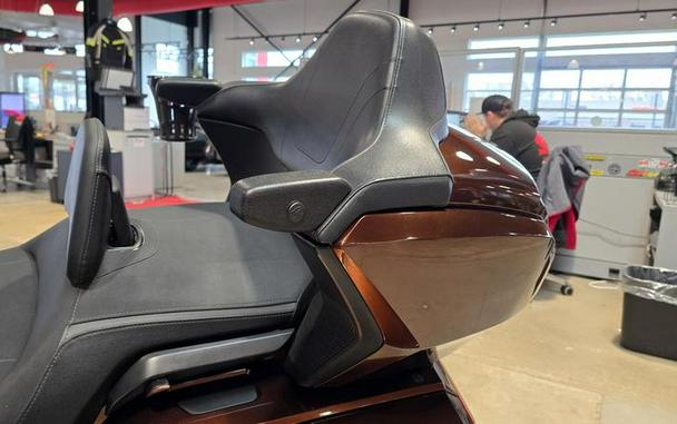 2018 Honda® Gold Wing Pearl Stallion Brown