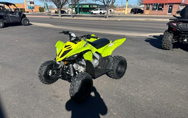 2026 Yamaha Raptor 110