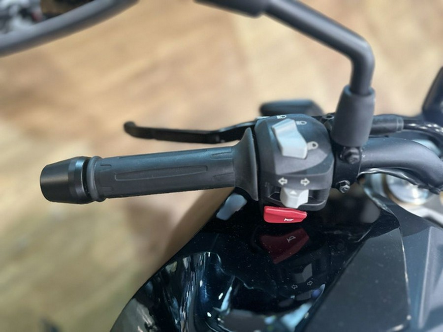 2025 BMW G 310 R Style Passion