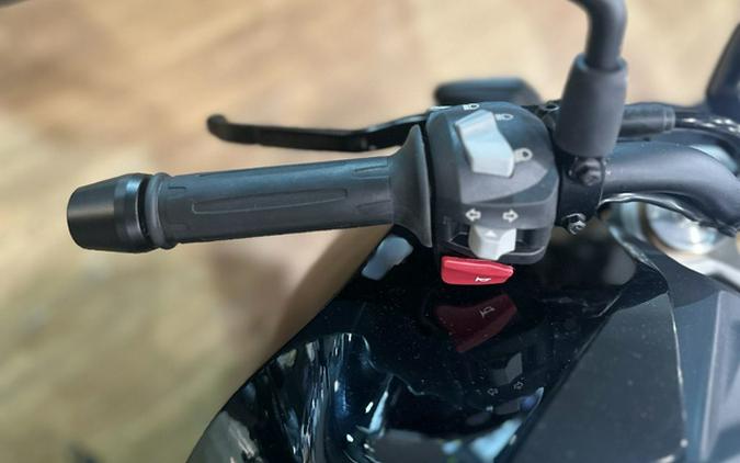 2025 BMW G 310 R Style Passion