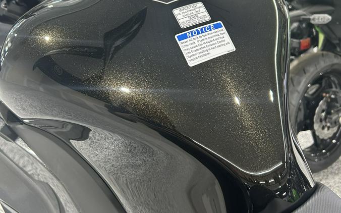 2026 Kawasaki Ninja® 1100SX ABS