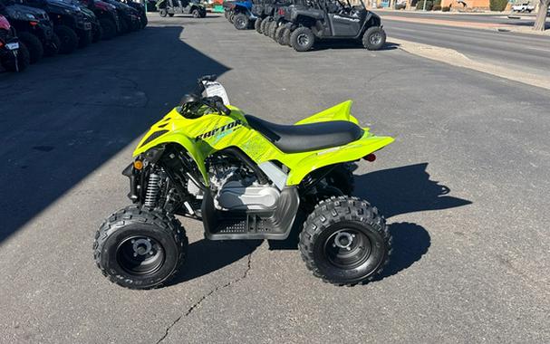 2026 Yamaha Raptor 110