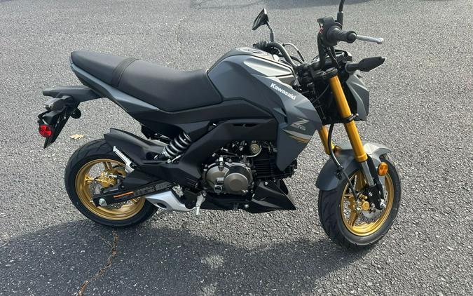 2024 Kawasaki Z125 Pro