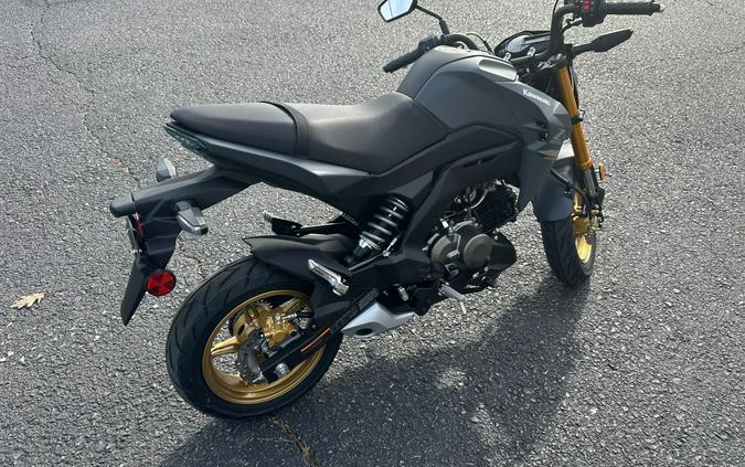 2024 Kawasaki Z125 Pro