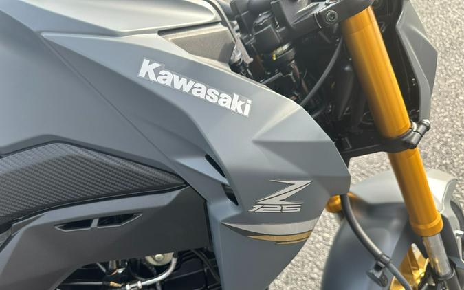 2024 Kawasaki Z125 Pro