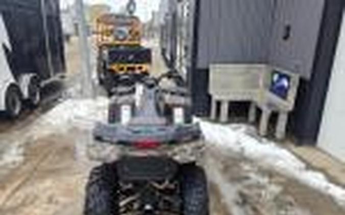 2026 Arctic Cat Alterra 600 Limited