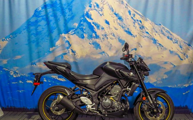 2025 Yamaha MT 03