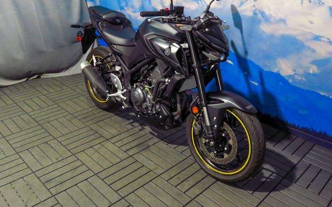 2025 Yamaha MT 03