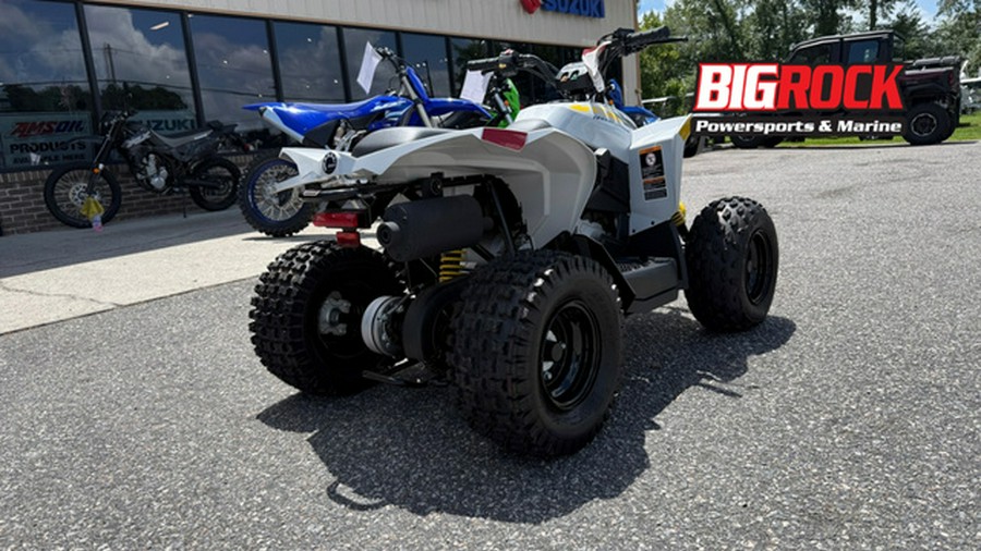 2026 Can-AM RENEGADE 110 EFI