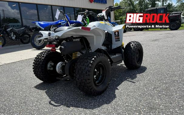 2026 Can-AM RENEGADE 110 EFI