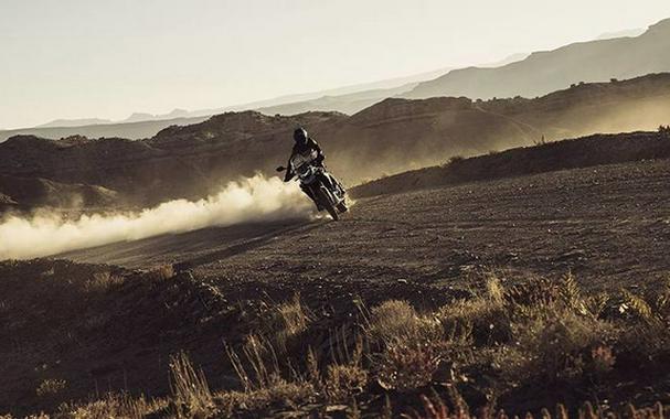 2025 Triumph Tiger 900 Rally Pro