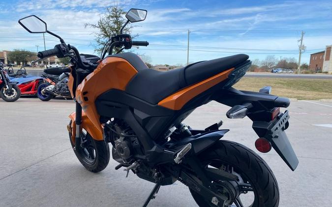 2019 Kawasaki Z125 PRO