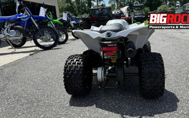 2026 Can-AM Renegade 70 EFI