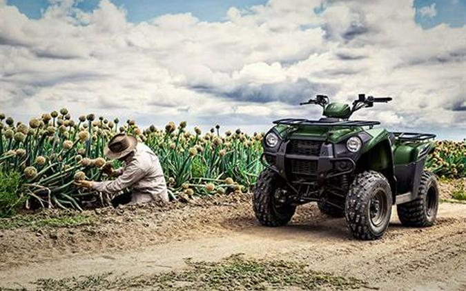 2017 Kawasaki Brute Force 300