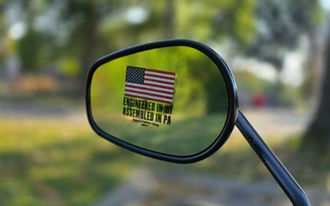 2025 Harley-Davidson Street Bob®