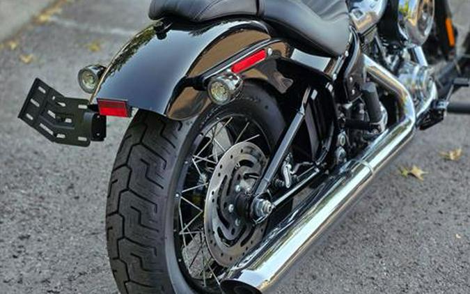 2025 Harley-Davidson Street Bob®