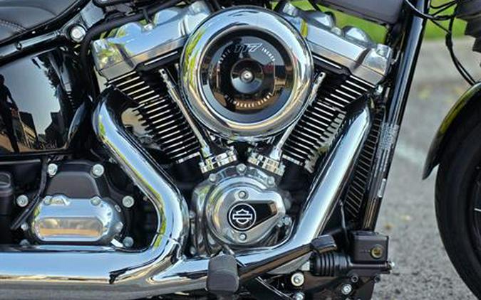 2025 Harley-Davidson Street Bob®