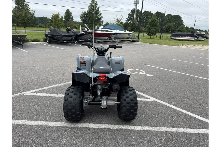 2025 Polaris PHOENIX 200