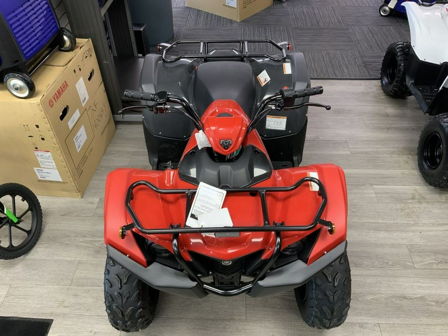 2025 Yamaha Grizzly 110