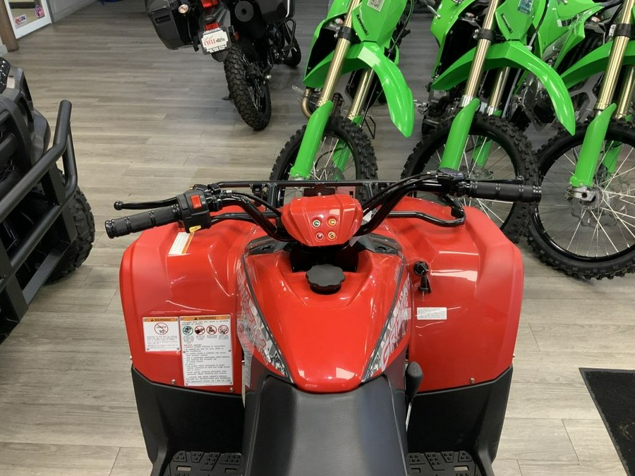 2025 Yamaha Grizzly 110