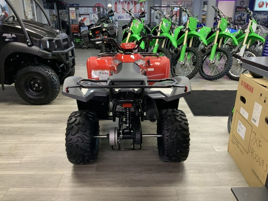 2025 Yamaha Grizzly 110
