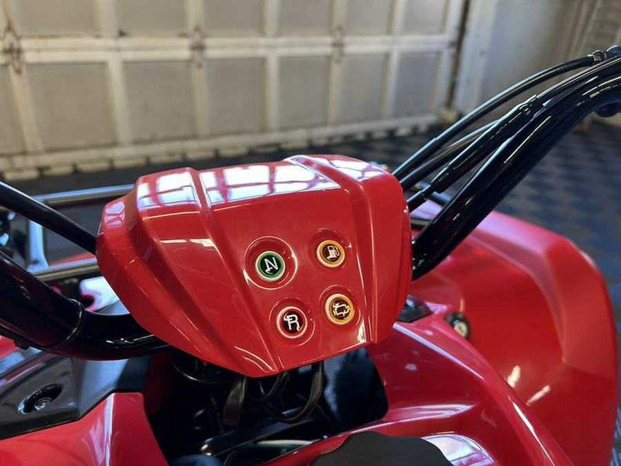 2025 Yamaha Grizzly 110