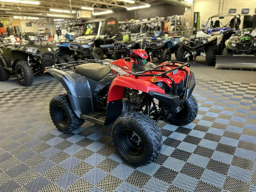 2025 Yamaha Grizzly 110