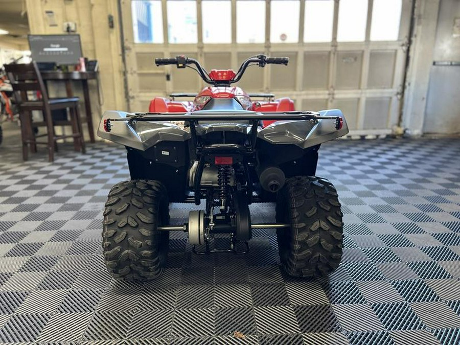 2025 Yamaha Grizzly 110