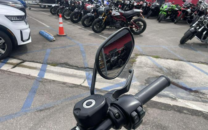 2021 Harley-davidson SPORTSTER IRON 883