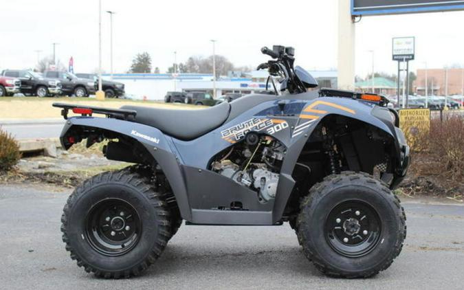 2024 Kawasaki Brute Force® 300