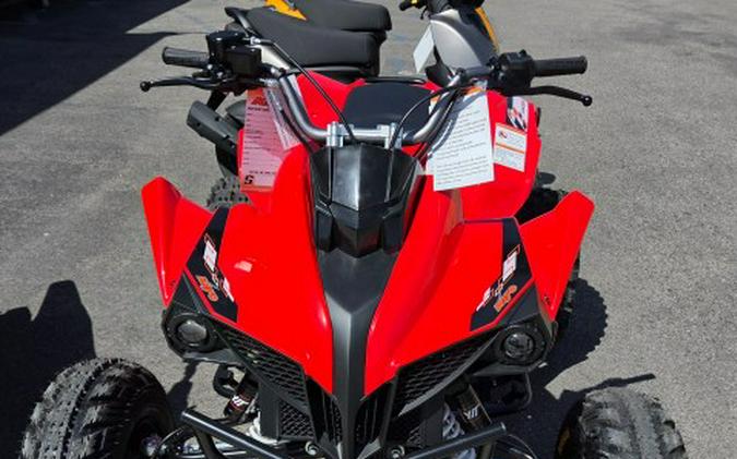 2026 Kayo Storm 300 EFI