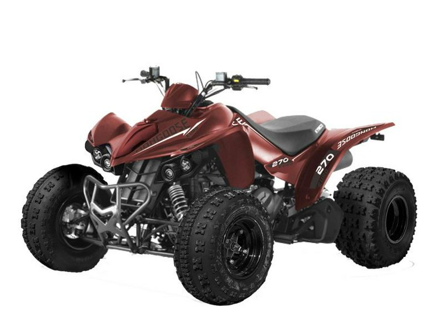 2021 KYMCO Mongoose 270 Euro