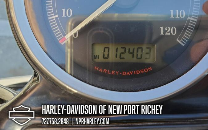 2013 Harley-Davidson Forty-Eight