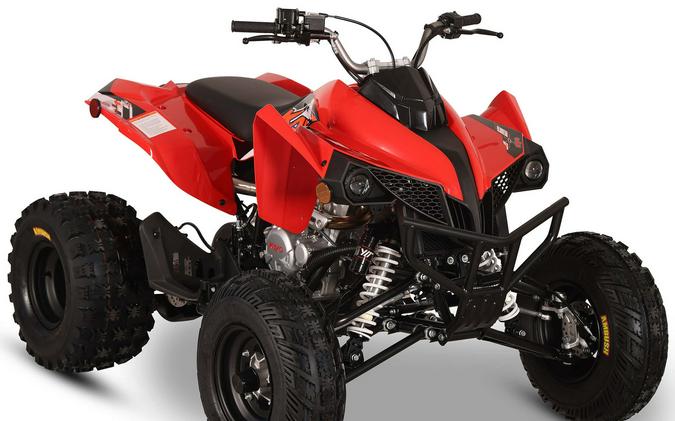 2026 Kayo Storm 300 EFI
