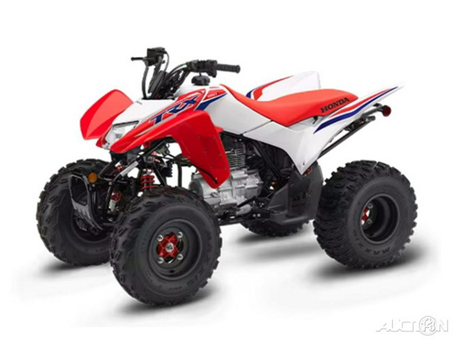 2024 Honda TRX 250X