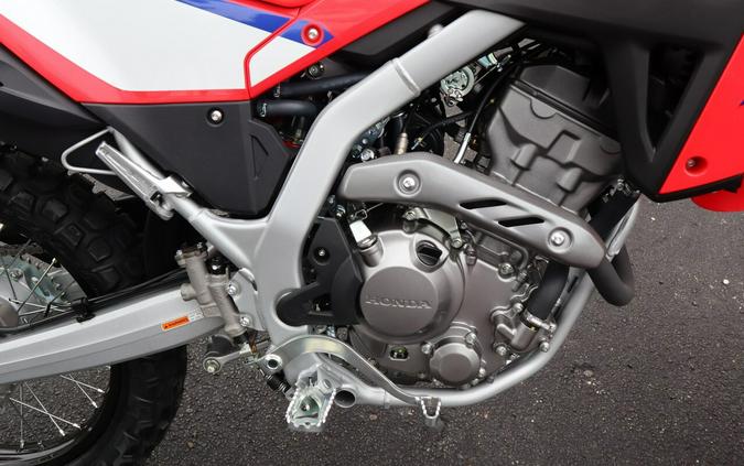 2025 CRF 300L - Honda