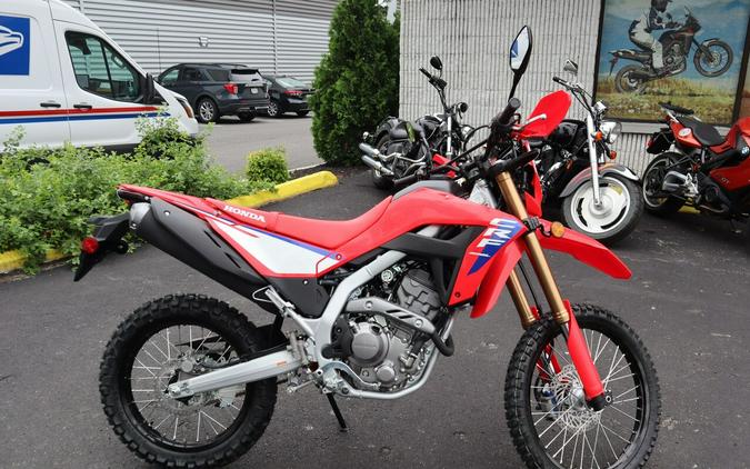 2025 CRF 300L - Honda