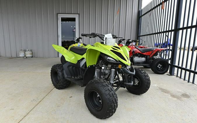 2026 Yamaha Raptor 110
