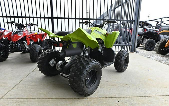 2026 Yamaha Raptor 110