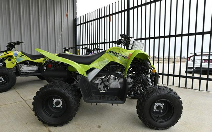 2026 Yamaha Raptor 110