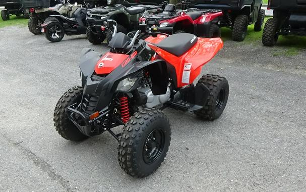 2026 Can-Am DS 250