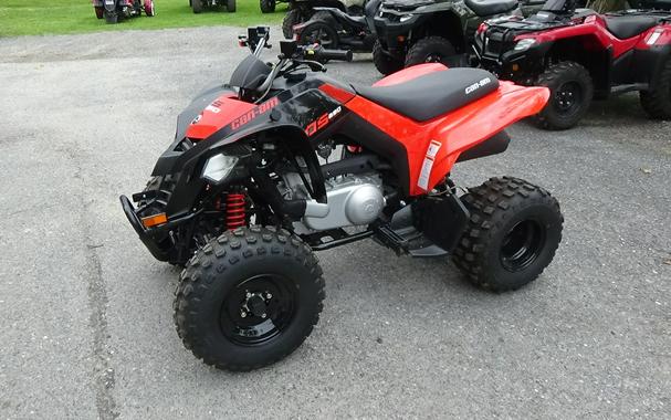 2026 Can-Am DS 250