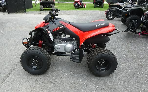2026 Can-Am DS 250