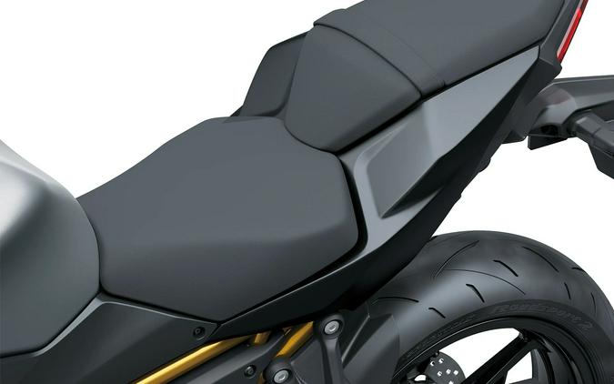 2027 Kawasaki Z650 S ABS